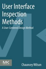 User Interface Inspection Methods