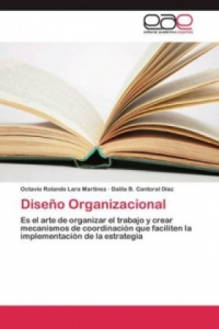 Diseno Organizacional