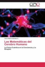 Matematicas del Cerebro Humano