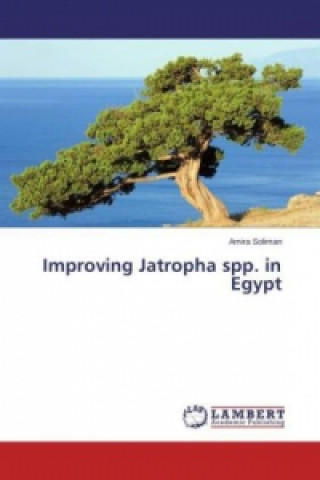 Improving Jatropha spp. in Egypt