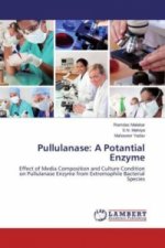 Pullulanase: A Potantial Enzyme