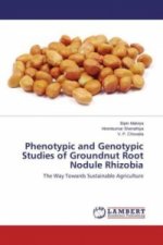 Phenotypic and Genotypic Studies of Groundnut Root Nodule Rhizobia