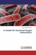 A model for bacterial-fungal interactions