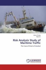 Risk Analysis Study of Maritime Traffic