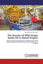 The Secrets of Wild Grape Seeds Oil in Diesel Engine
