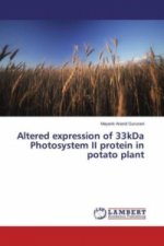 Altered expression of 33kDa Photosystem II protein in potato plant