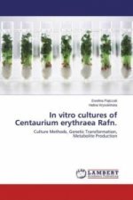 In vitro cultures of Centaurium erythraea Rafn.
