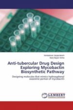 Anti-tubercular Drug Design Exploring Mycobactin Biosynthetic Pathway