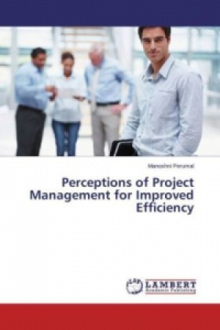 Perceptions of Project Management for Improved Efficiency