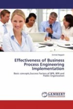 Effectiveness of Business Process Engineering Implementation