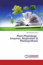 Plant Physiology: Enzymes, Respiration & Photosynthesis