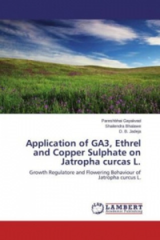 Application of GA3, Ethrel and Copper Sulphate on Jatropha curcas L.