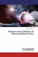 Electron-Ion Collision of Plasma Relevant Ions