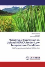 Phenotypic Expression in Upland NERICA under Low Temperature Condition