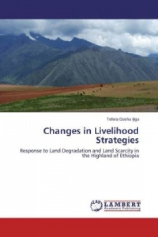 Changes in Livelihood Strategies