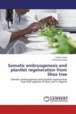 Somatic embryogenesis and plantlet regeneration from Shea tree