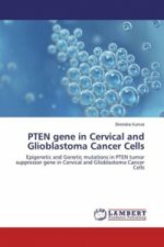 PTEN gene in Cervical and Glioblastoma Cancer Cells