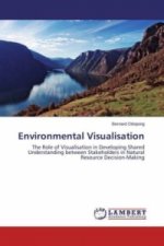 Environmental Visualisation