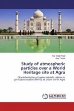 Study of atmospheric particles over a World Heritage site at Agra