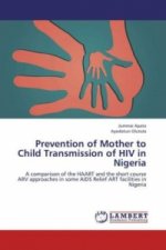 Prevention of Mother to Child Transmission of HIV in Nigeria
