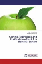 Cloning, Expression and Purification of kir6.1 in Bacterial system
