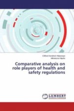 Comparative analysis on role players of health and safety regulations