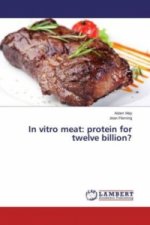 In vitro meat: protein for twelve billion?