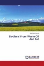 Biodiesel From Waste Oil And Fat