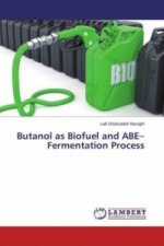 Butanol as Biofuel and ABE-Fermentation Process