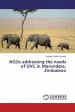NGOs addressing the needs of OVC in Marondera, Zimbabwe