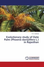 Evolutionary study of Date Palm (Phoenix dactylifera L.) in Rajasthan
