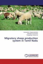 Migratory sheep production system in Tamil Nadu