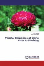 Varietal Responses of China Aster to Pinching