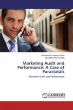 Marketing Audit and Performance: A Case of Parastatals