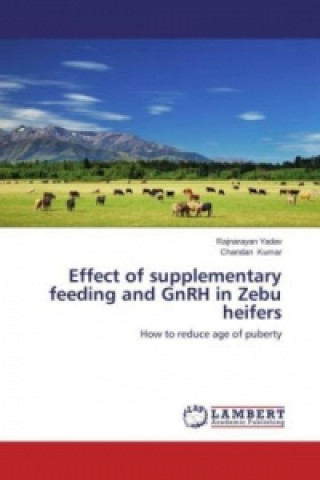 Effect of supplementary feeding and GnRH in Zebu heifers