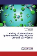 Labeling of Metarhizium guizhouense(CQMg135)with GFP and EGFP Genes