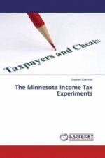 The Minnesota Income Tax Experiments