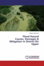 Flood Hazard Causes, Damages & Mitigation in District Dir Upper