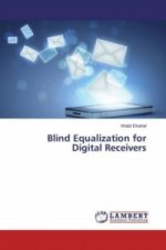 Blind Equalization for Digital Receivers