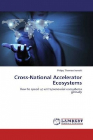Cross-National Accelerator Ecosystems