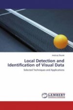 Local Detection and Identification of Visual Data
