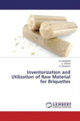 Inventorization and Utilization of Raw Material for Briquettes