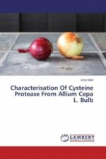 Characterisation Of Cysteine Protease From Allium Cepa L. Bulb