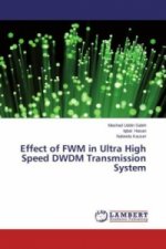 Effect of FWM in Ultra High Speed DWDM Transmission System