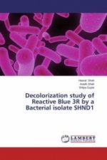 Decolorization study of Reactive Blue 3R by a Bacterial isolate SHND1