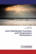 Joint Distribution Function and Temperature Fluctuations