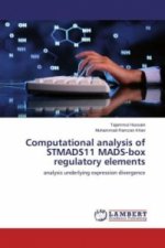 Computational analysis of STMADS11 MADS-box regulatory elements