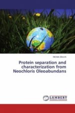 Protein separation and characterization from Neochloris Oleoabundans