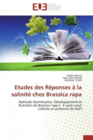 Etudes des Réponses à la salinité chez Brassica rapa