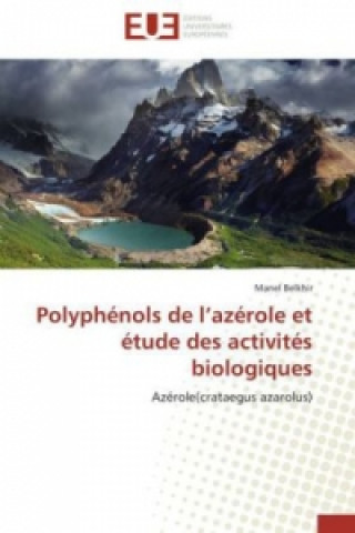 Polyphénols de l'azérole et étude des activités biologiques